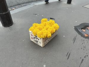 日々のことば、「やらないよりはまし」