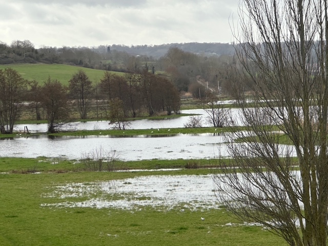 辻村相談窓口、「偉大なる死」