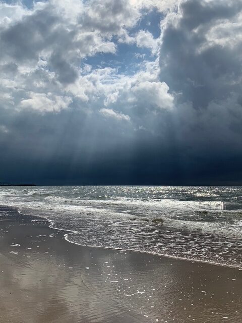 辻村相談窓口、「子育て」