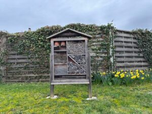 辻村相談窓口、「挫けそうな時に」