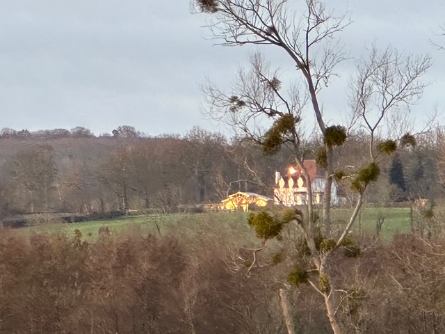 辻村相談窓口、「挫けそうな時に」