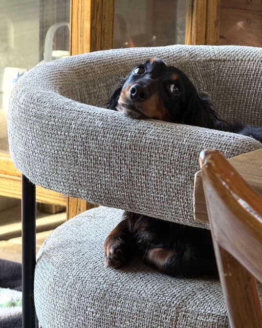 辻村相談窓口、「人生の岐路」