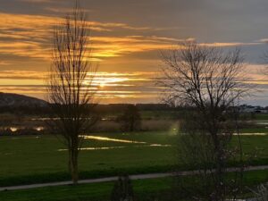 辻村相談窓口、「人生の岐路」