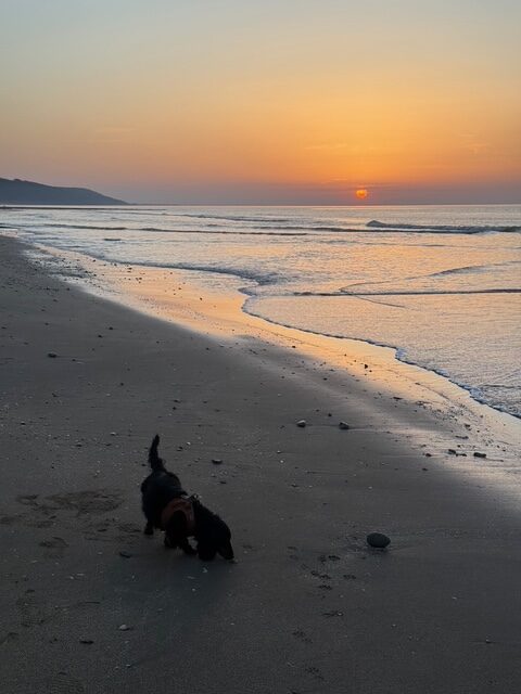 愛犬との会話で始まり終わる一日
