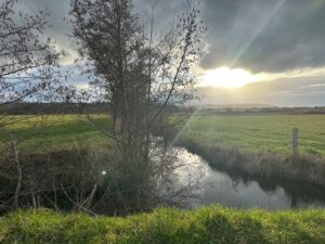 日仏文学列車に乗って松山へ