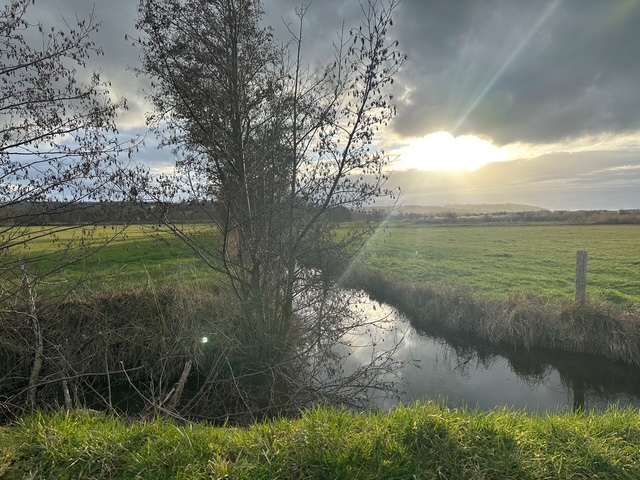 日仏文学列車に乗って松山へ