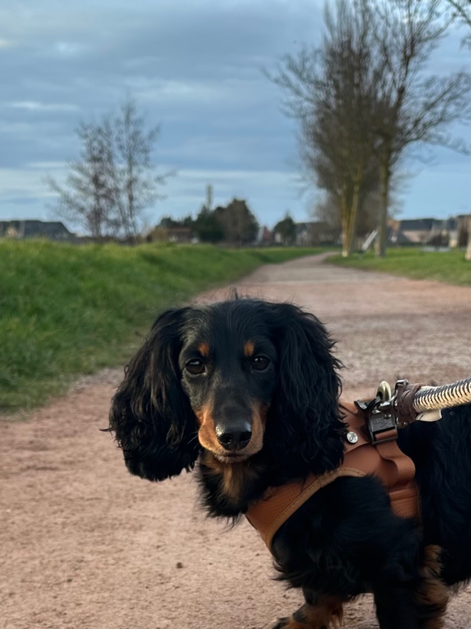 辻村相談窓口、「われ思うゆえにわれあり」