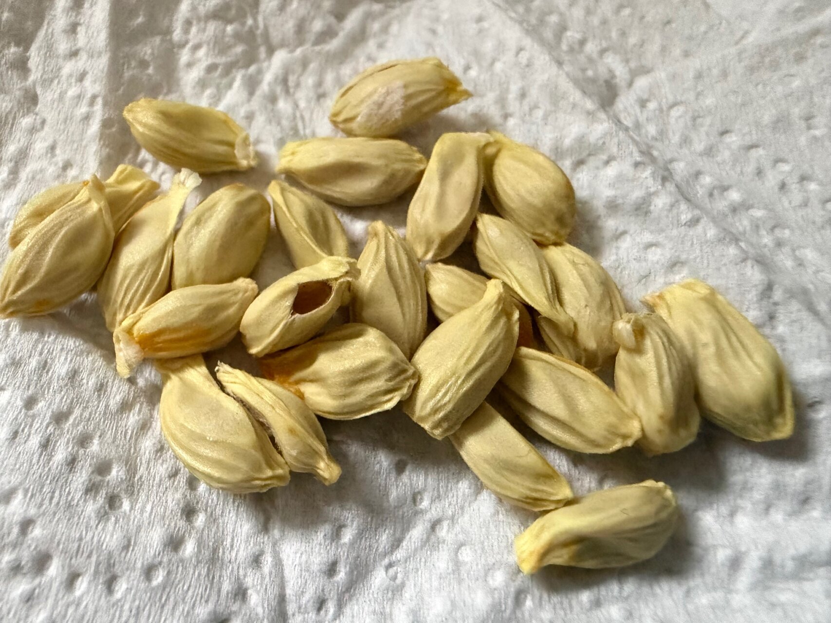 毎日が勝負飯、「貰ったオレンジでマドレーヌ」