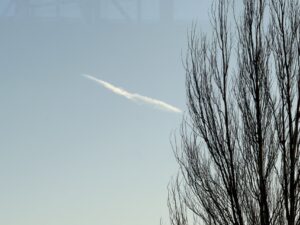 辻村相談窓口、「先が見えない時に」