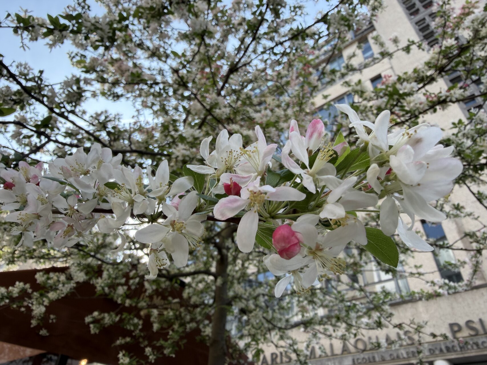 辻村相談窓口、「チャレンジ」