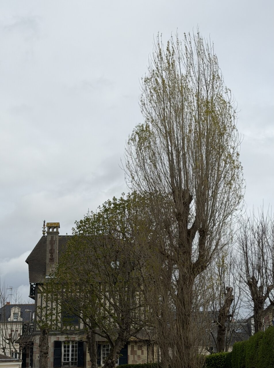 辻村相談窓口、「時間を操る方法」