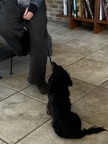 校長奮闘記、「第一聴講生、三四郎」