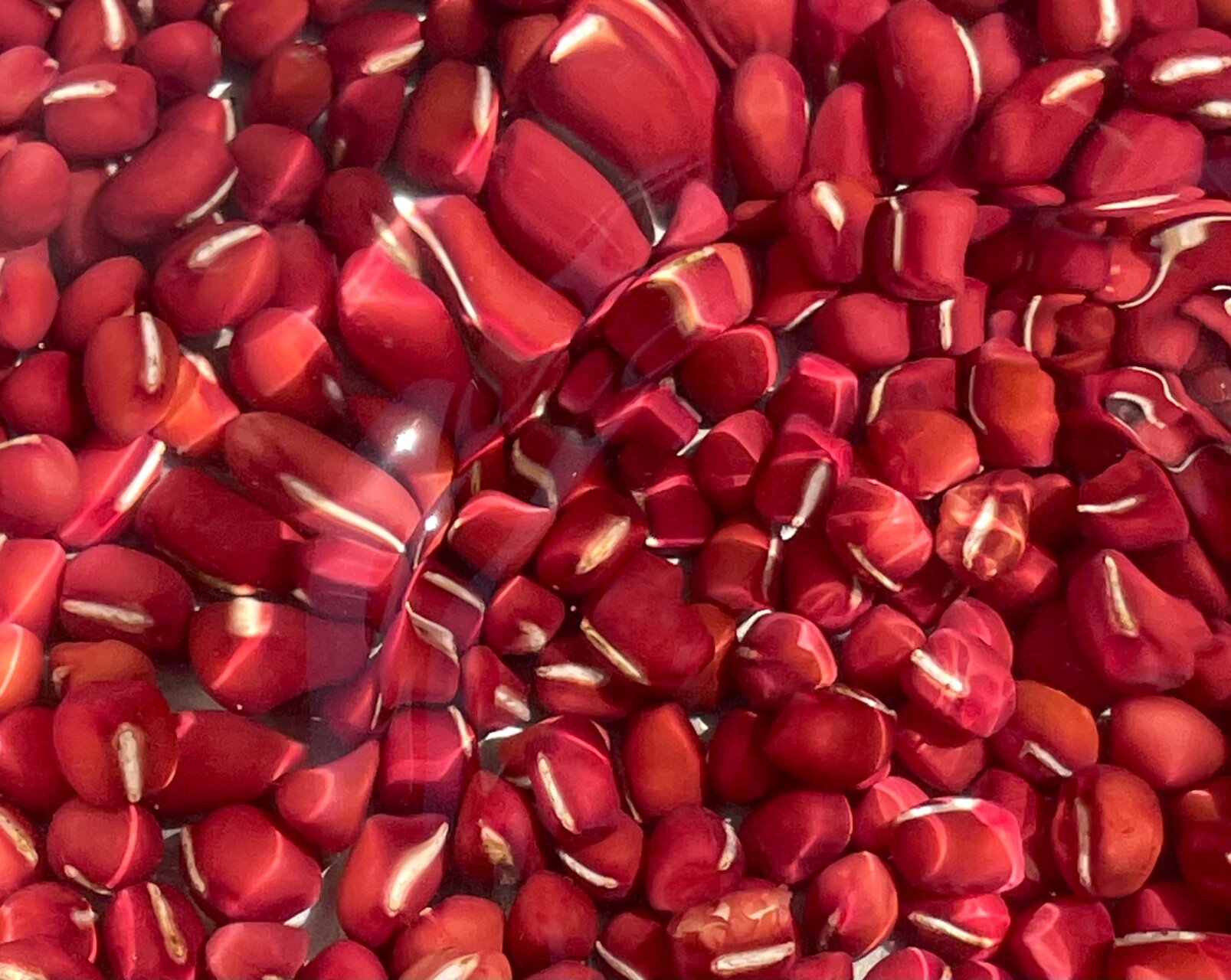 ちょっと塩気のきいたあんこ