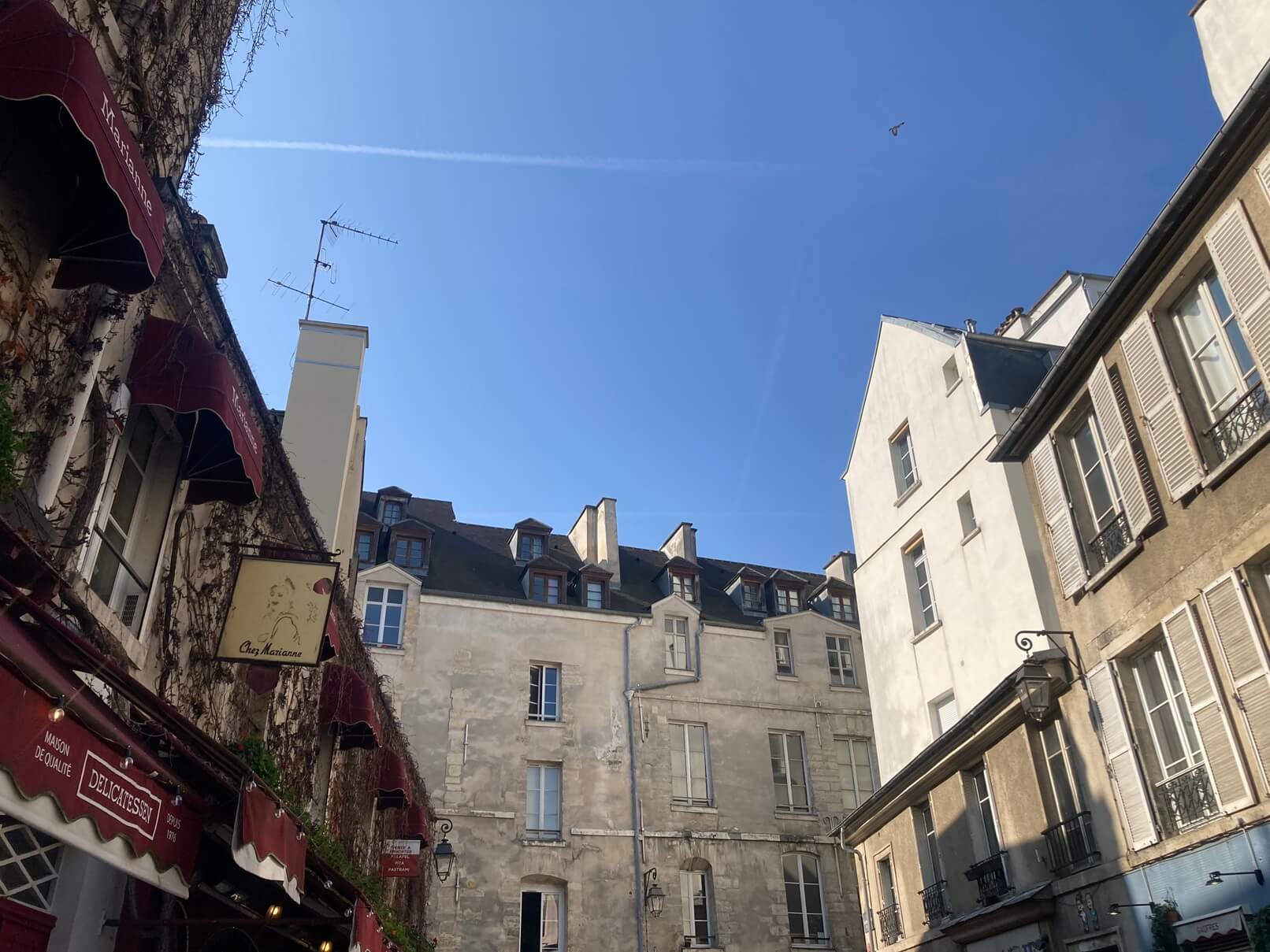 パリ・カルチャー情報「マンサード屋根、パリの景色をつくる屋根」