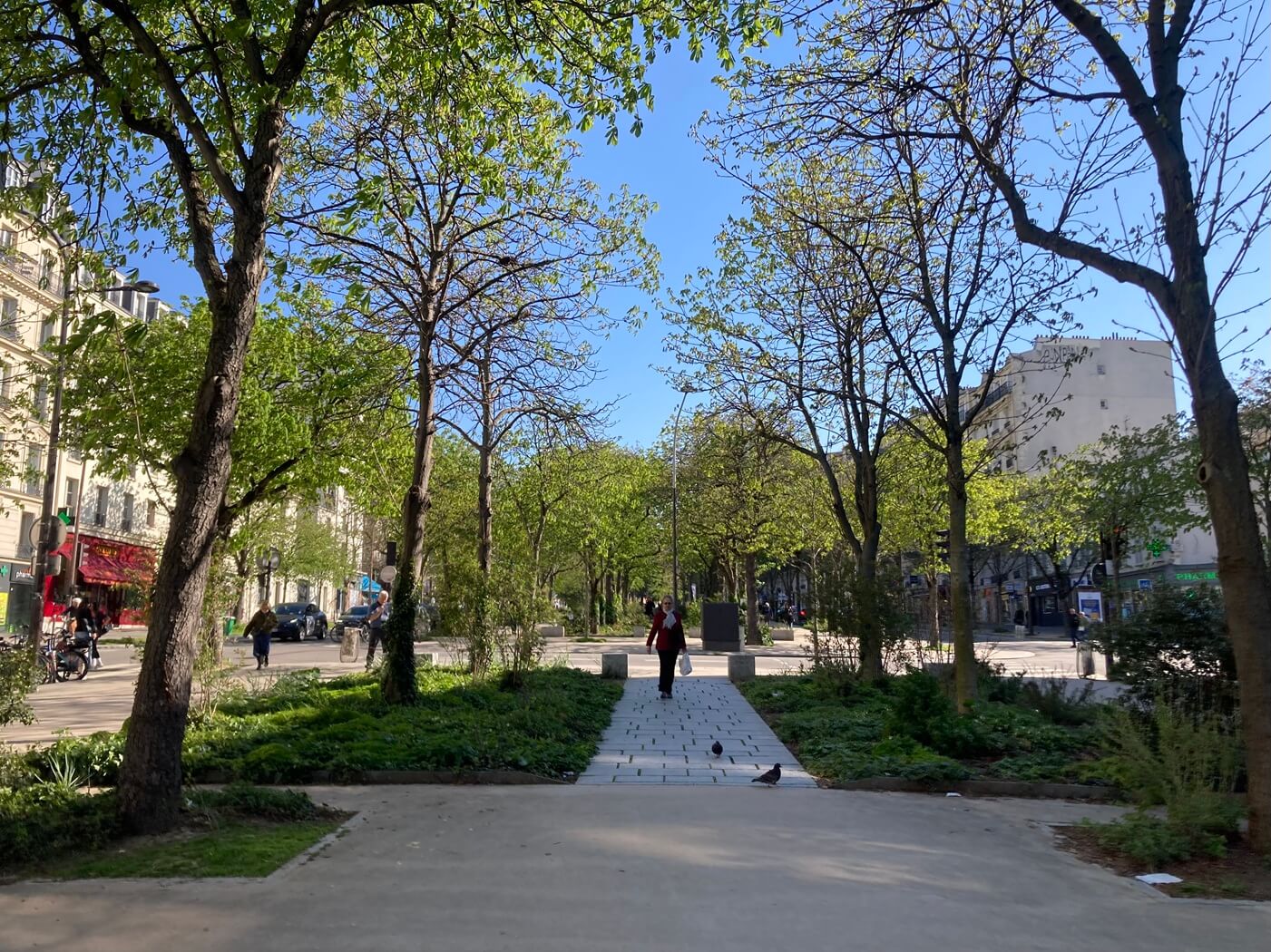 パリ・カルチャー情報「パリの街を染める“あの緑”はどこから? 不思議な色の正体」