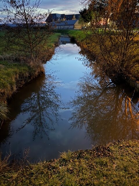 辻村相談窓口、「人生の順番」