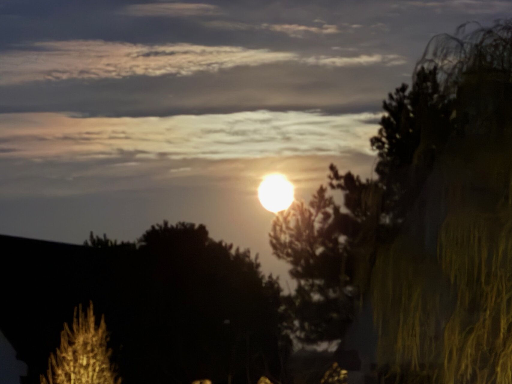 毎日が勝負飯、「クロックタルティーヌ」