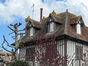 日々のことば、様子見よう