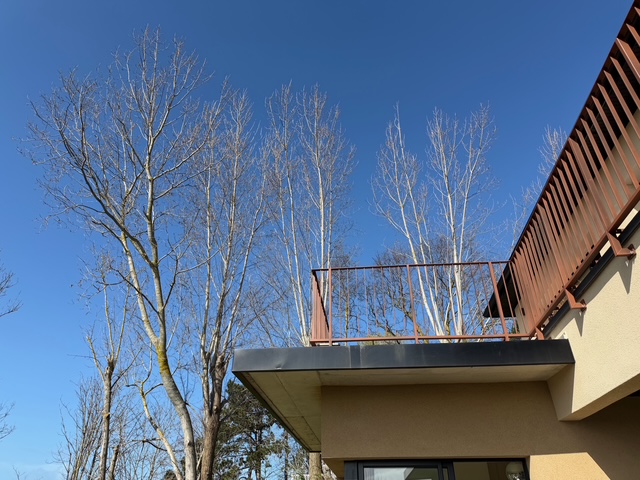 毎日が勝負飯、「バーベキュー」