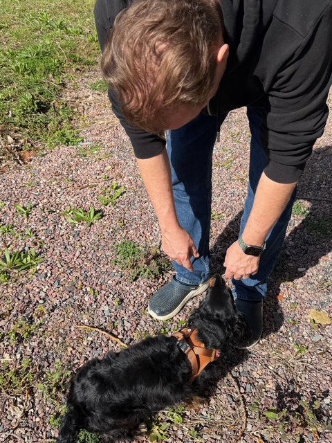 毎日が勝負飯、「バーベキュー」