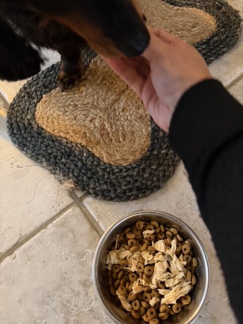 愛犬との会話で始まり終わる一日