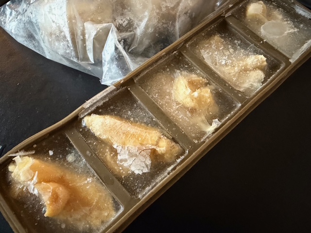 愛犬との会話で始まり終わる一日