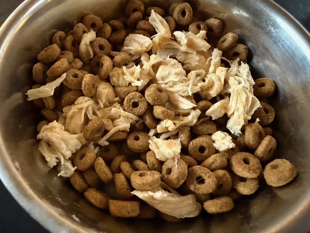 愛犬との会話で始まり終わる一日