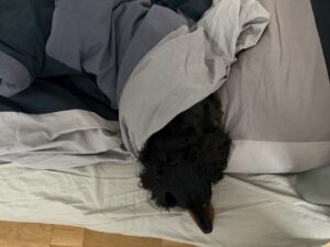 三四郎との会話