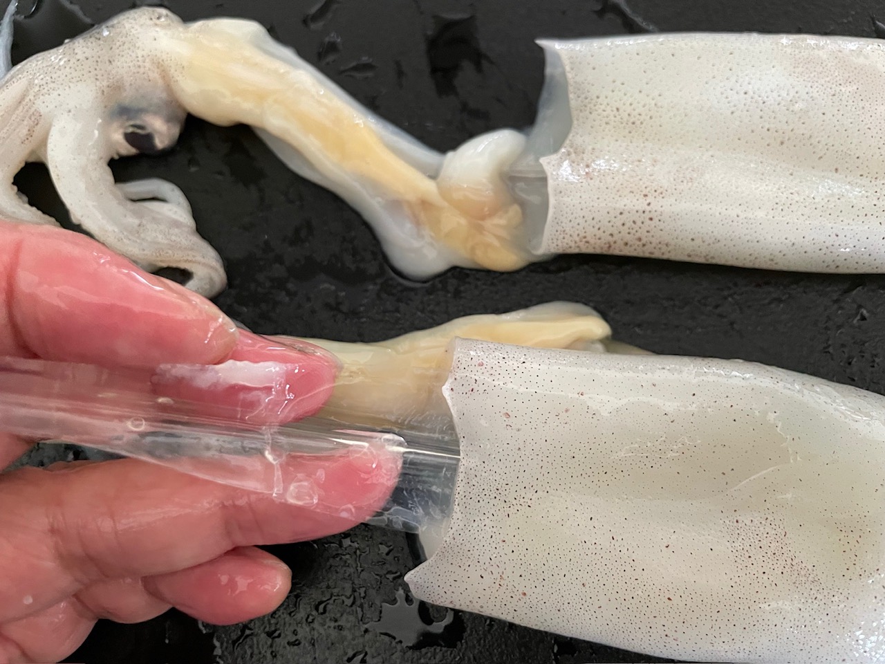 毎日が勝負飯、「おさらい、イカ&トマト煮込み麺」