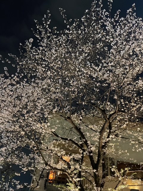 校長奮闘記、「まもなく開校、しかし、ごめんなさい」