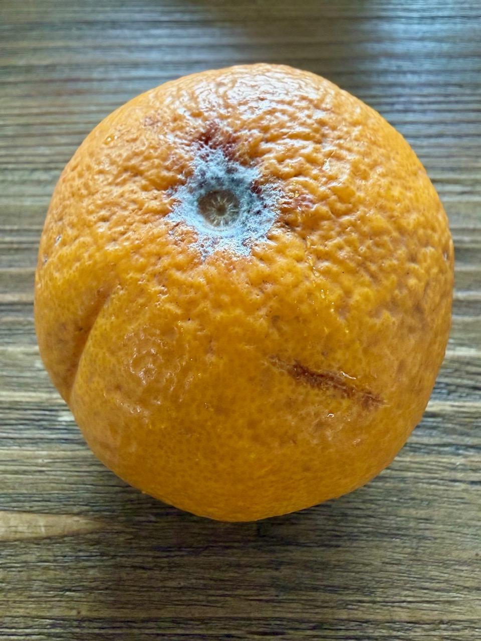 毎日が勝負飯、「貰ったオレンジでマドレーヌ」