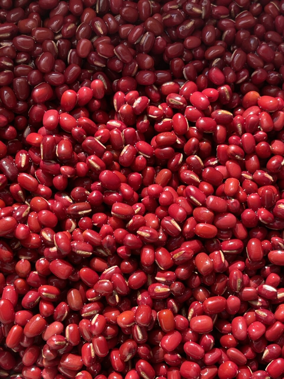 ちょっと塩気のきいたあんこ