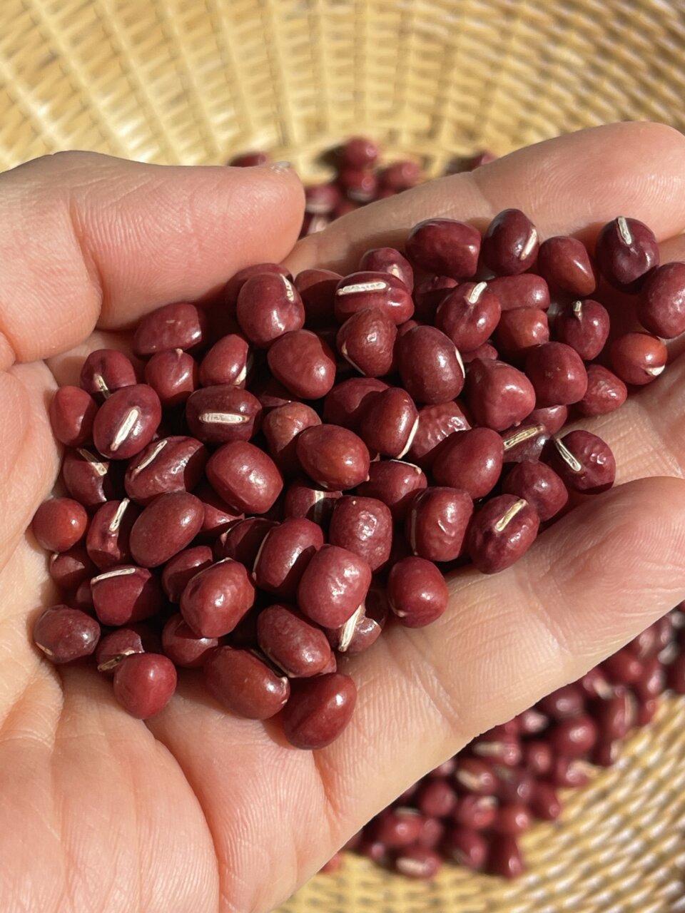 ちょっと塩気のきいたあんこ