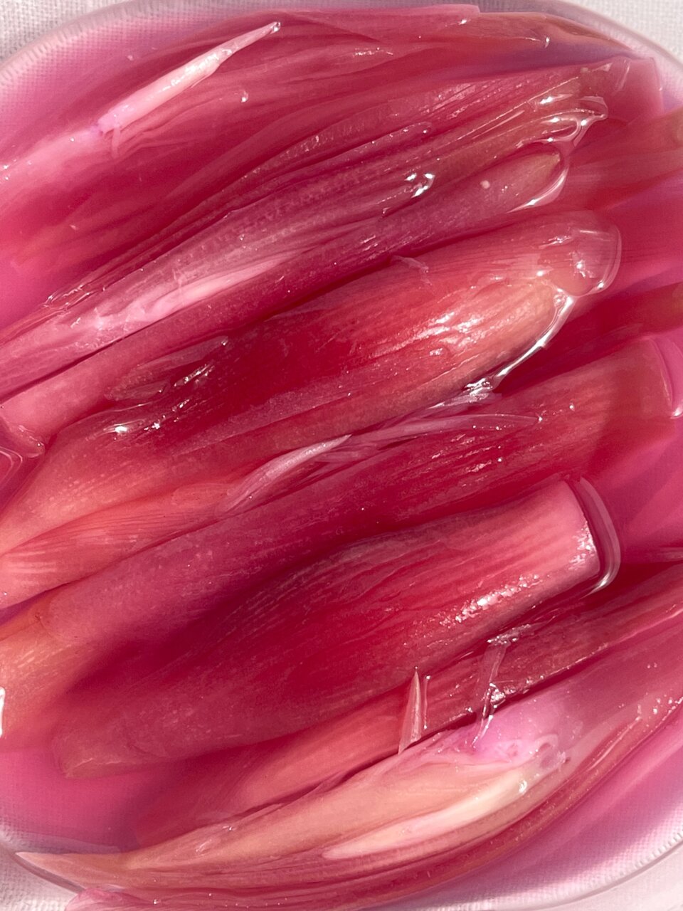 塩サバのサンドイッチ – 2026バージョン