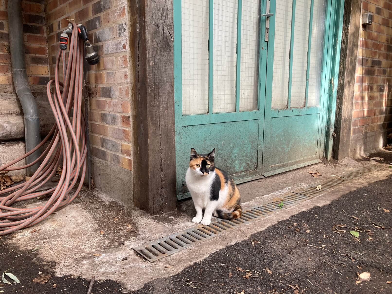 パリ・アート情報「普段は入れない、パリの芸術家コミューン“La Ruche”を訪ねて」