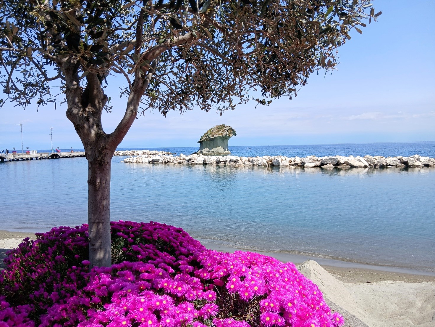 q.b.レシピのないレシピ帳～ポルペッティーネとグリーンピース～