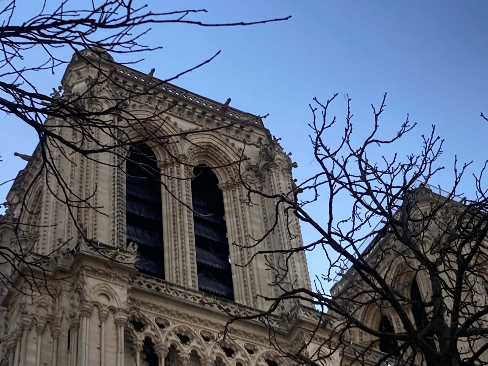 パリ・アート情報「守るために生まれた石像、パリのガーゴイル」