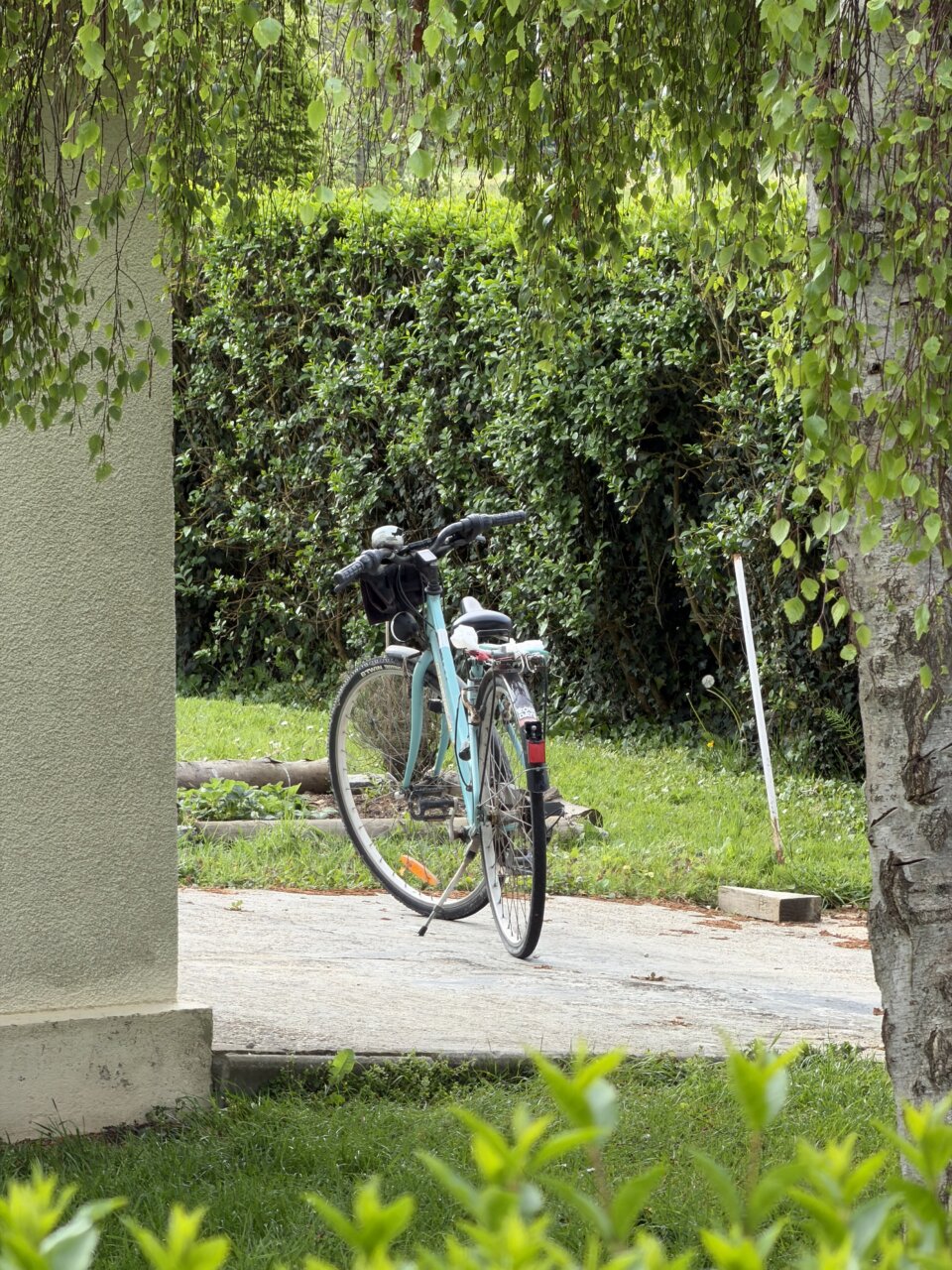 毎日が勝負飯、「人気のチキン・ココナッツ・カレー」