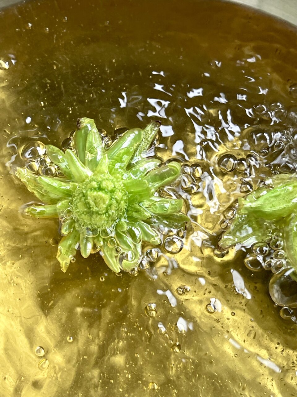 ほろ苦くて甘い蕗のとう味噌の焼きおにぎり