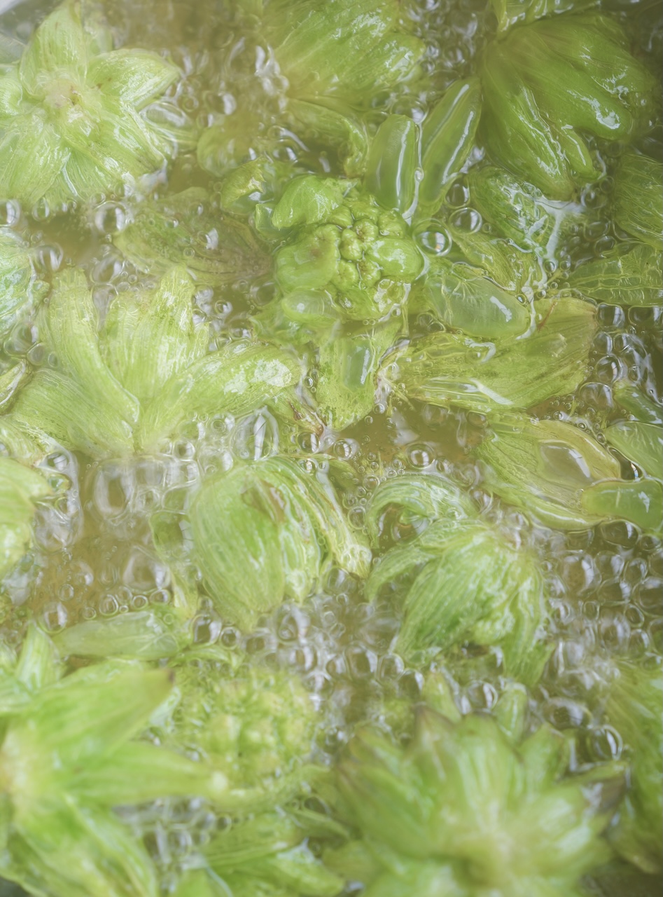 ほろ苦くて甘い蕗のとう味噌の焼きおにぎり