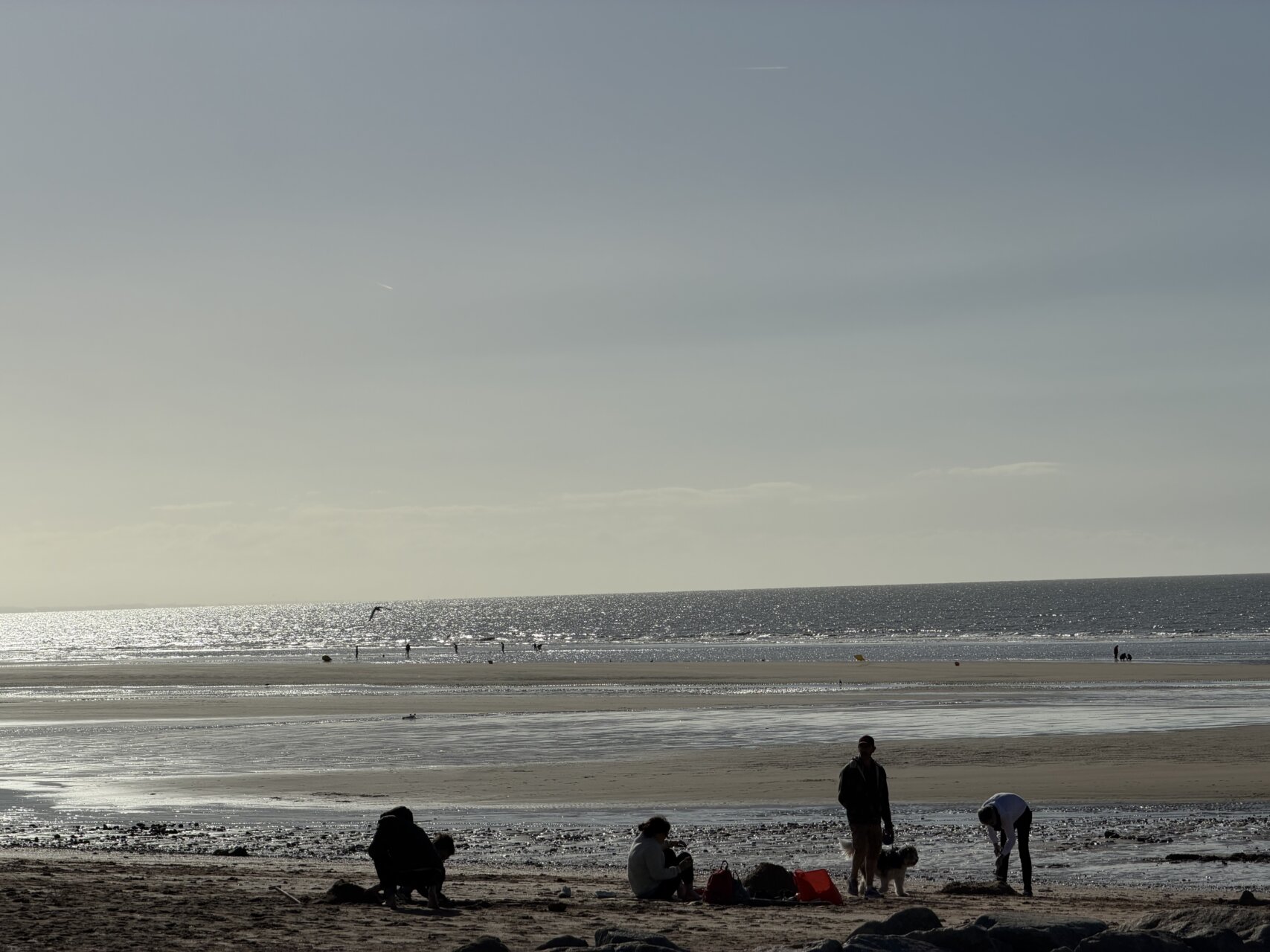 毎日が勝負飯、「普通にうまいが、一日を幸せにする」