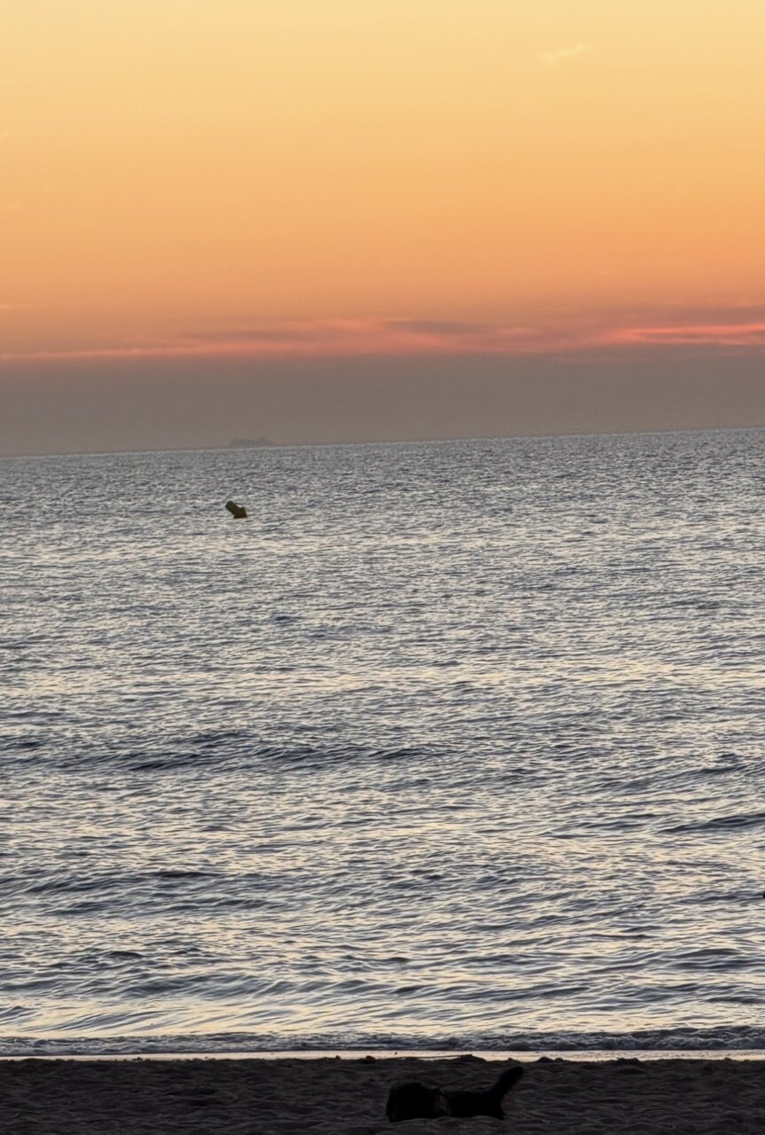 辻村相談窓口、「メンタルを強くしたい」