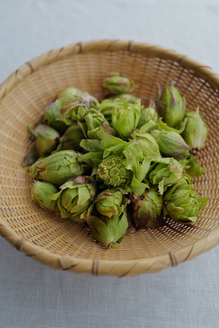 ほろ苦くて甘い蕗のとう味噌の焼きおにぎり