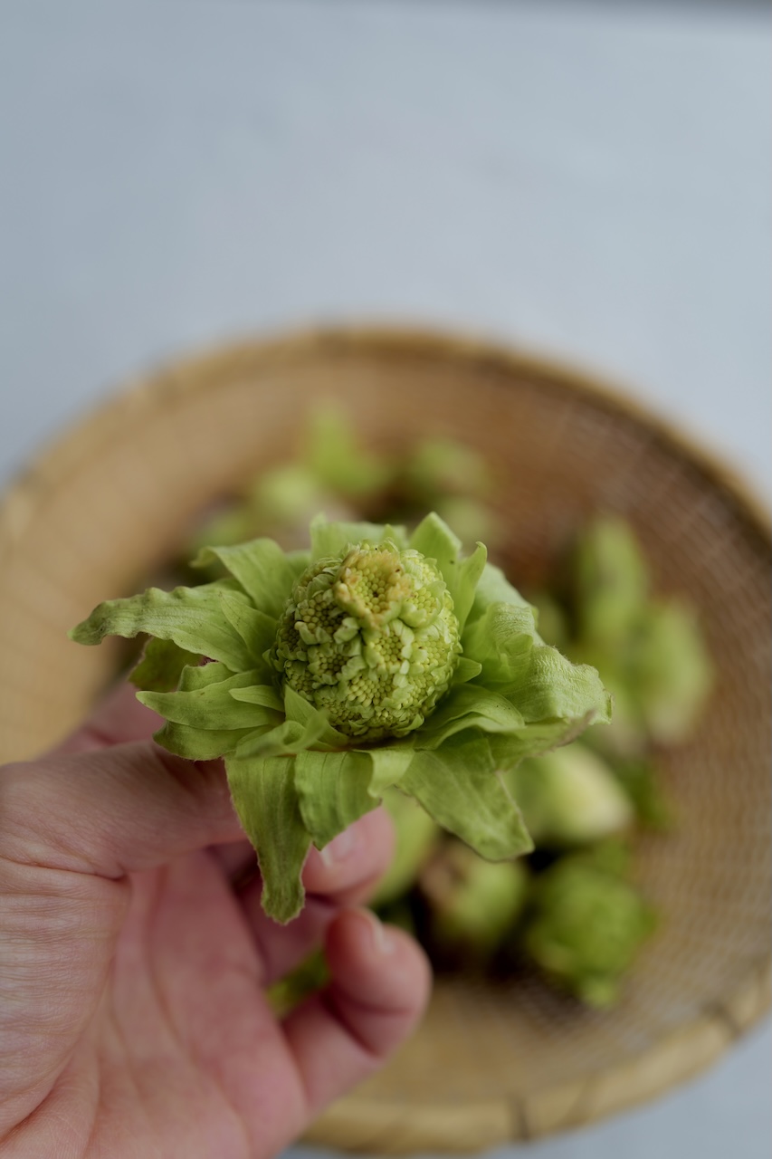ほろ苦くて甘い蕗のとう味噌の焼きおにぎり