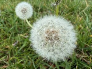 辻村相談窓口、「人生の後始末」