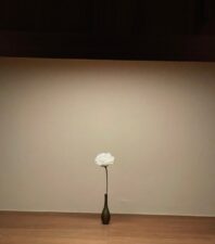 辻村相談窓口、「和を乱す者への向き合い方」