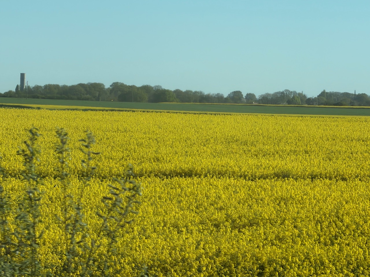毎日が勝負飯、「定番、エシャロットソース」
