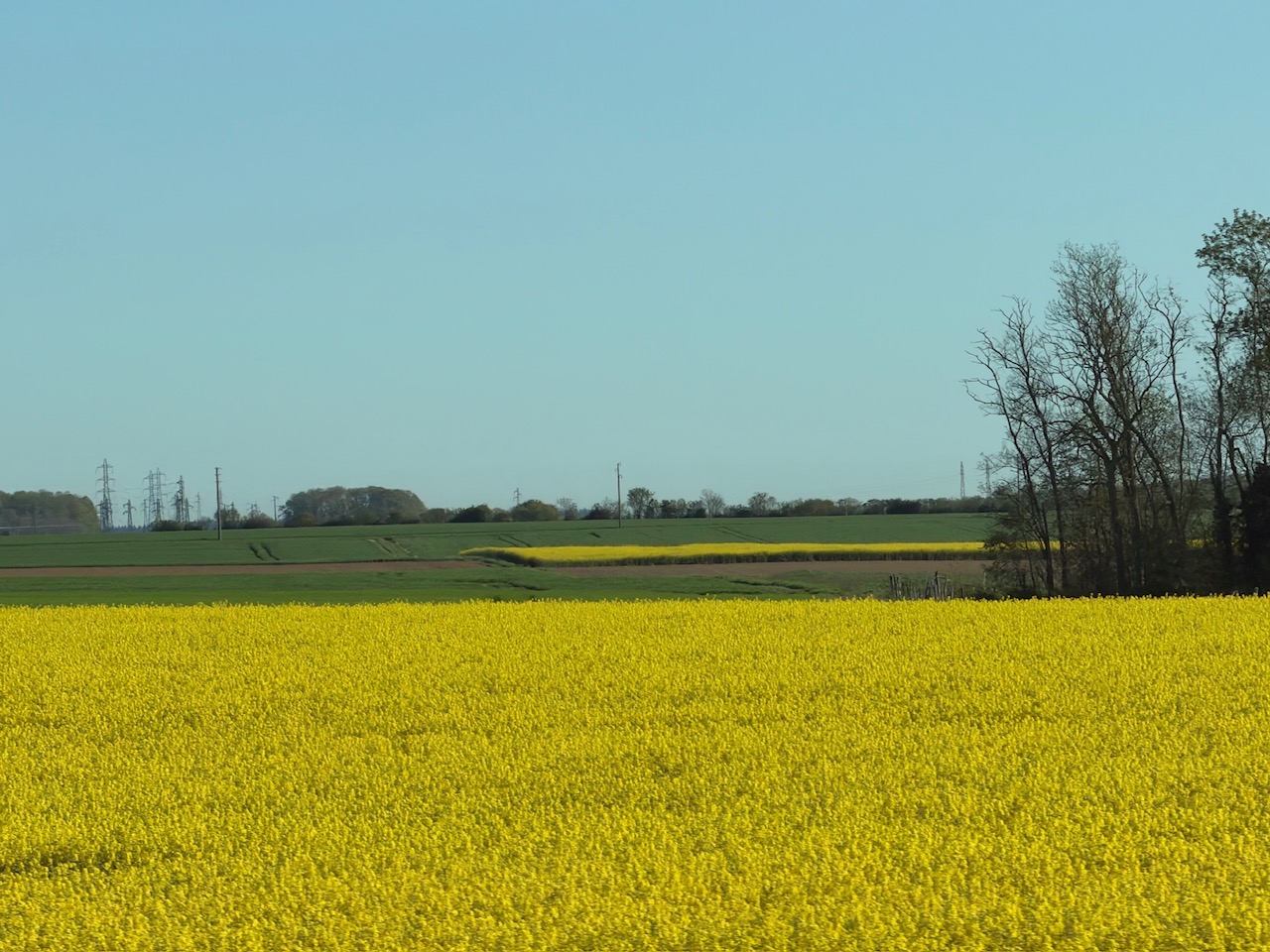辻村相談窓口、「ゲラとはなんですか? 小説の裏方」