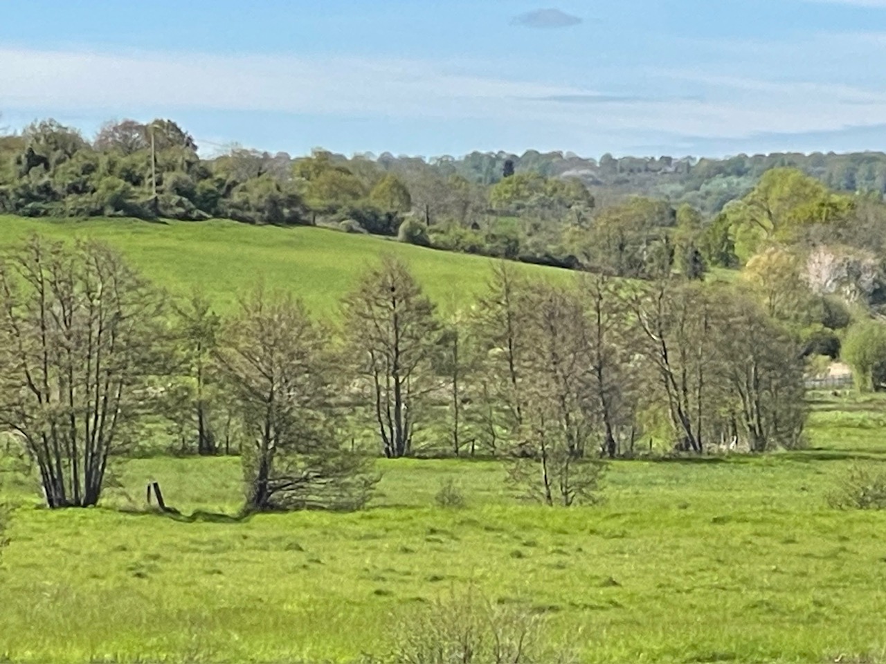 辻村相談窓口、「絵のこと」