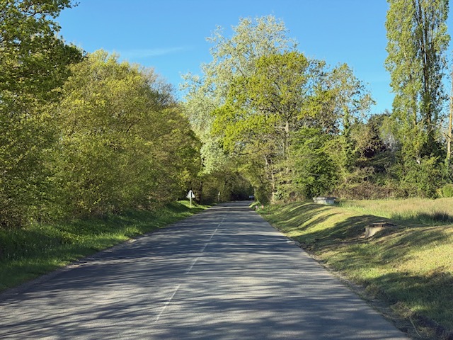 毎日が勝負飯、「オイルパスタ」